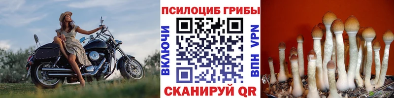 мега ONION  Урай  Галлюциногенные грибы мицелий  купить наркотик 